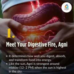 In Ayurveda, 'Agni' is your digestive fire. It's strongest around midday, just like the sun. Eating your largest meal then allows your body to digest and absorb nutrients most efficiently.