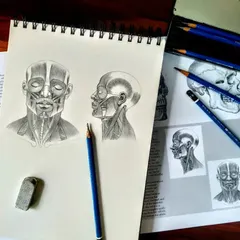 This is a study of the muscles of the head, drawn with pencil. Understanding the underlying anatomy is key to creating lifelike and accurate portraits.