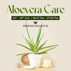 Discover the many benefits and uses of the aloe vera plant in our dedicated Aloevera Care workshops, a popular session at our Green & Wellness events.