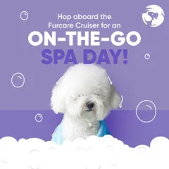 This fluffy white dog is the picture of relaxation after a spa day with the Furcare Cruiser. We bring the pampering to you, so your pet can feel this blissful without ever leaving home.