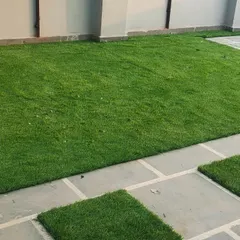 A freshly laid artificial lawn combined with stone pavers. This combination creates a modern, low-maintenance landscape design.