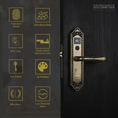 This infographic details the advanced features of our Pinnacle Series smart lock. Built with a solid brass body, it includes fingerprint and key unlock, RFID card access, a rifle alarm, and a low electrical alarm. Available in 32 finishes, it is the ultimate fusion of robust security and bespoke design.