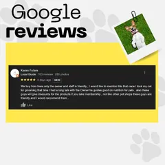 This Google review highlights the friendly staff and the good nutritional guidance I provide. I always take the time to talk with owners because I believe in holistic pet care.
