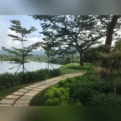 A stone path leads through a lush green landscape towards the water's edge. I planted a line of young trees along the path to frame the view and add a sense of rhythm to the journey.