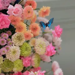 A close-up of a vibrant floral arrangement, with artificial butterflies adding a touch of whimsical magic.