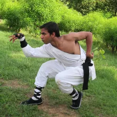 The snake style of Kung Fu emphasizes flexibility, fluid movement, and precise strikes. This stance is key to generating power from a low and stable base.