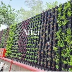 After: A closer look at the modular planting system and the healthy, thriving plants just after installation, showing the density and detail of our work.