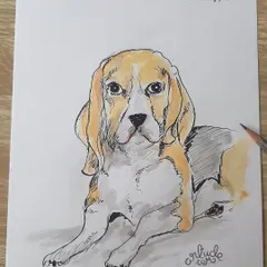 Sometimes it's all about the pet! This is a handsome beagle I had the pleasure of drawing during a live pet caricature event.
