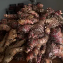 A pile of fresh, local red ginger, one of our chef's favorite ingredients. This ginger is more pungent and flavorful than the common variety, adding a special kick to our dishes.