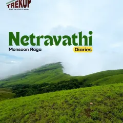 Welcome to the Netravathi trek during the monsoon. These rolling green hills, often called the "Green Route," are covered in a blanket of mist, creating a magical atmosphere. It's one of our most popular weekend treks from Bangalore for a reason.