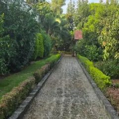 The peaceful pathway leading through the lush greenery of our Ramanagara centre. The natural environment is an essential part of the retreat experience.