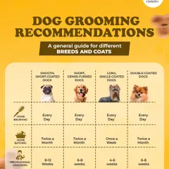 Every dog is different, and so is their grooming routine. This guide gives you our general recommendations for home brushing, bathing, and professional grooming based on your dog's coat type, from smooth-coated pugs to double-coated Pomeranians.