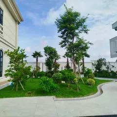 A complete residential landscape with layered planting, mature trees, and a clean, modern pathway. The design provides structure and green views between two contemporary home structures.