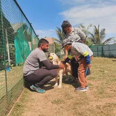 Our educational workshops help children build confidence and compassion around animals. A trainer supervises as a child gently pets a calm Labrador.
