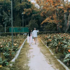 A candid shot of a couple walking through a flower-lined path at Sunder Nursery. This type of photo captures a natural interaction and the beauty of the surroundings.