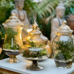 A set of customized sealed terrariums created for a newly designed home. These beautiful amber glass jars are styled with plants suited for a humid environment and require no maintenance, making them perfect decorative pieces.
