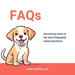 Have questions? I have answers. This section addresses some of the most frequently asked questions about my at-home grooming services.