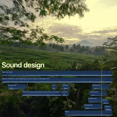 Sound design is what makes a video immersive. Here is a look at my audio timeline, where I layer ambient sounds, whooshes, and music to make the viewer feel like they are actually flying.