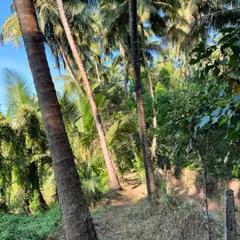 Another view from a site visit, where the natural context provides the initial inspiration. It is here, in the richness of the surroundings, that we ground our visionary ideas in functionality and a sense of place.