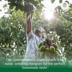 Our commitment to quality begins with hand-selecting the freshest raw mangoes. This is the first and most important step in creating that perfect homemade taste.