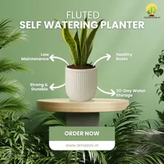 Meet our Fluted Self-Watering Planter. This piece combines modern aesthetics with smart functionality, featuring a 30-day water storage capacity. It's a durable and stylish home for your plants, ensuring they have healthy roots with minimal effort from you.