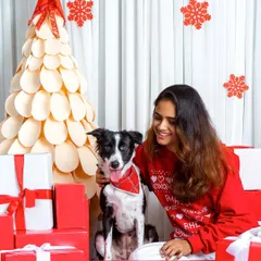 All the dog moms at our Christmas shoot thought their picture was the best, and they were all right! This woman and her dog look so festive and happy in our red-and-white holiday set.