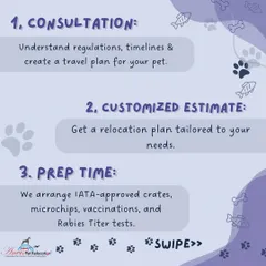 Our process begins with a consultation to create a travel plan, followed by a customized estimate. We then handle all preparations, including arranging IATA-approved crates, microchips, vaccinations, and Rabies Titer tests.