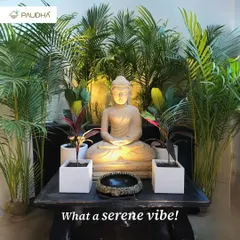 What a serene vibe. A carefully placed Buddha statue surrounded by lush areca palms and other foliage, highlighted by a soft spotlight, instantly creates a corner of peace and tranquility in any setting.