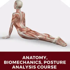 This poster for the April Anatomy, Biomechanics, and Posture Analysis course emphasizes the foundational knowledge that will elevate your skills and marketability as a fitness professional.