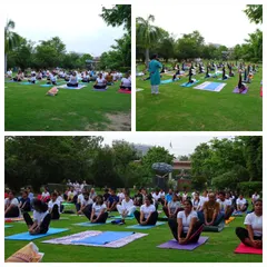 More scenes from our community yoga practice in the park. Practicing together in nature adds a special dimension of peace and connection to the experience.