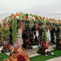 I believe in making a powerful first impression. This lavish floral entrance is designed to transport your guests into a world of beauty from the moment they arrive. The structure is completely covered in a rich tapestry of colorful, fresh flowers, showcasing my passion for abundant and artistic floral design.