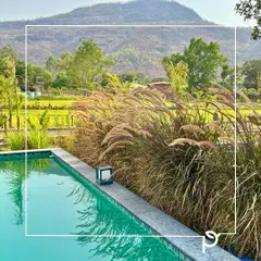 The edge of a swimming pool bordered by feathery fountain grass against a backdrop of hills. This design uses ornamental grasses to soften the hardscape and connect the pool area with the natural landscape.
