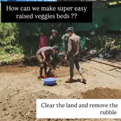 The process of creating raised beds begins with clearing the land and removing any rubble to prepare a clean slate for the garden.