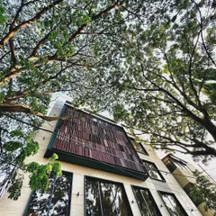 An upward view of our mixed-use project, where we integrated a distinctive wooden screen facade with the surrounding natural canopy. This approach softens the modern structure and creates a harmonious blend of architecture and nature.