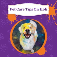 Holi can be a stressful and dangerous time for animals. This post provides important tips on how to keep your pets safe from harmful colors and loud noises during the festival.
