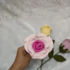 A close-up of the dual-color pink rose. These are perfect for gifting or for adding a pop of color to your room decor.