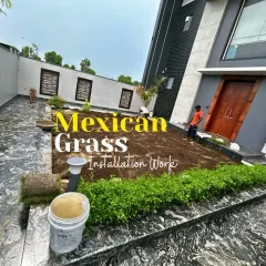 This image shows the installation of Mexican grass at a modern home. I prepare the ground meticulously before laying the turf to ensure healthy growth and a long-lasting, beautiful lawn.