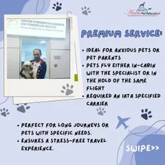 Our Premium Service is perfect for anxious pets, long journeys, or pet parents who want extra peace of mind. A relocation specialist flies with your pet, either in-cabin or in the hold of the same flight, ensuring a stress-free experience.