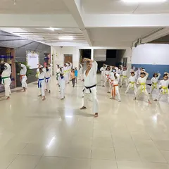 Students practice age-uke (upper block) in unison. Repetition of these fundamental movements builds muscle memory and discipline.