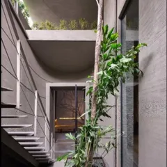 A central courtyard allows a tree to grow through the building's core, reinforcing the connection to nature. This design choice ensures that natural light and greenery are present on every level, making the office a place that breathes and feels alive.