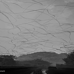 An ornithograph showing the chaotic flying pattern of Black Kites around the Bandhwari Landfill, a testament to their adaptation.