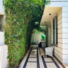 A natural bamboo wall provides an excellent privacy screen and a beautiful green backdrop. Here, it creates a shaded, serene corridor alongside the house, complemented by a modern stone and gravel pathway.