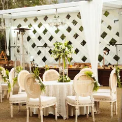 An elegant outdoor dining setup with classic Louis chairs and a simple, fresh floral centerpiece. This timeless arrangement is perfect for a sophisticated garden party or a wedding brunch.