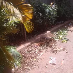 Another angle of our garden cleanup service in action. We handle all the messy bits so you can simply enjoy your beautiful, well kept green space.
