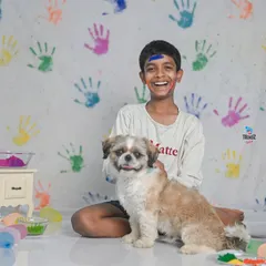 Holi is a festival of joy, and these photoshoots capture that perfectly. We use a colourful handprint backdrop and safe, vibrant powders for a fun and memorable session. It's even more fun when a furry friend joins in!
