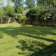 A freshly installed lawn in a residential backyard, with shadows from the trees creating a beautiful pattern. This space is now perfect for relaxing outdoors.