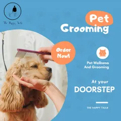Pet wellness and grooming, delivered right to your doorstep. I bring everything needed for a professional grooming session, so your dog gets a stress-free spa day at home. This is a look at my gentle combing technique for a long-haired breed.