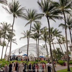 The stunning scale of a beach wedding setup in Thailand, with a transparent marquee set against a line of towering palm trees.