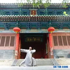 Training in China, in front of the historic temple architecture. Each stance and movement is filled with the spirit of the generations of warriors who practiced here before me.