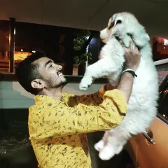 The bond begins early. Holding this puppy, I am reminded that every interaction is a chance to build trust and show them the world is a safe, fun place with their human.
